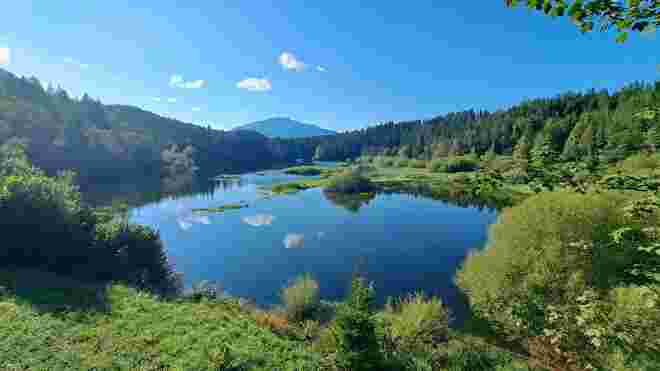 Blick über den Erlaufstausee