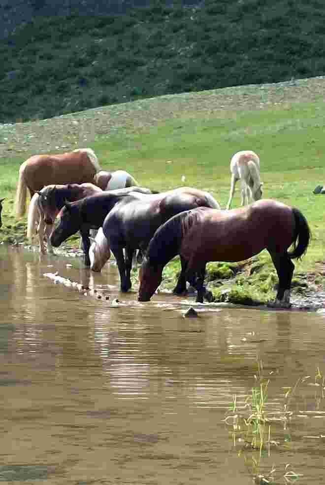 Wasser ist Leben