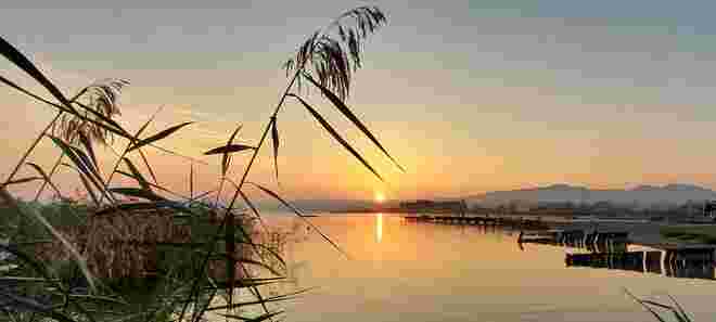 Sonnenaufgang am Wallersee