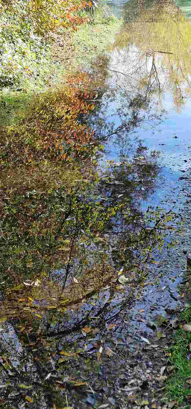 Spiegelung