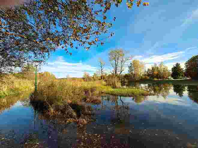 Herbststimmung im Naturschutzgebiet am Obertrumer See