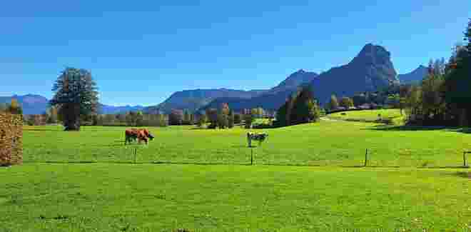 Kaiserwetter