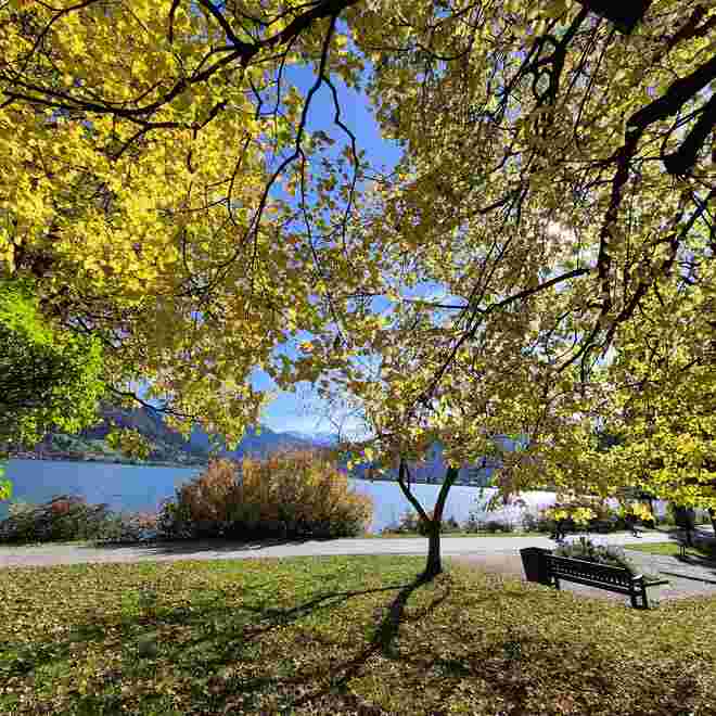 Herbstleuchten am Zellersee 