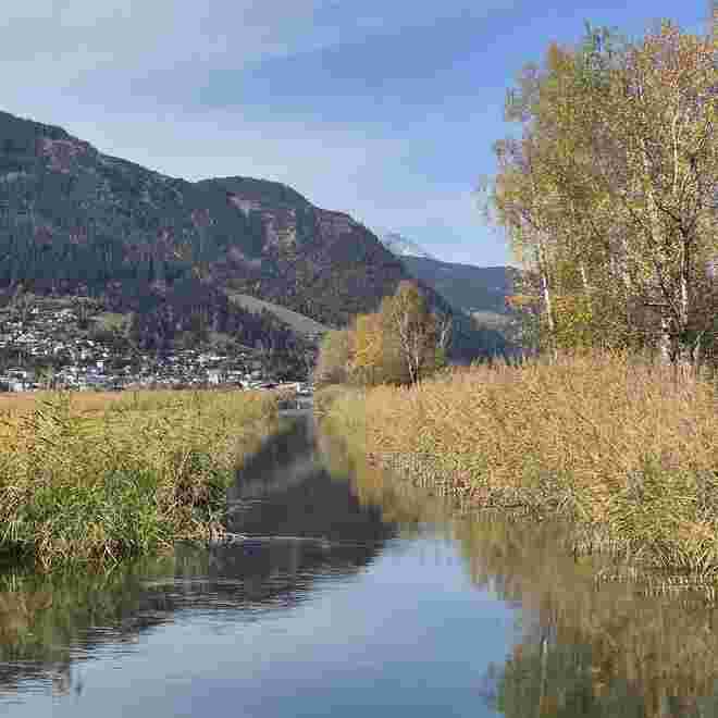 Herbstliches am Zellersee 