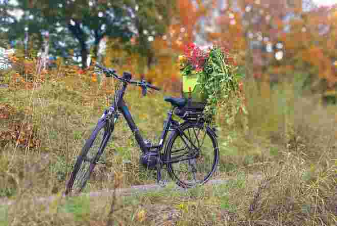 Den Herbst eingesammelt.....