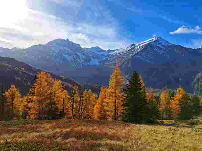 Herbst 2024