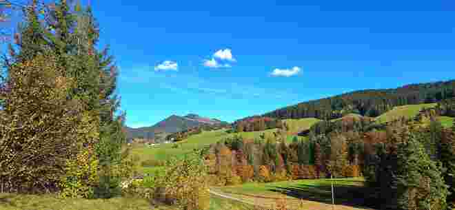 Herbstliche Farbpalette