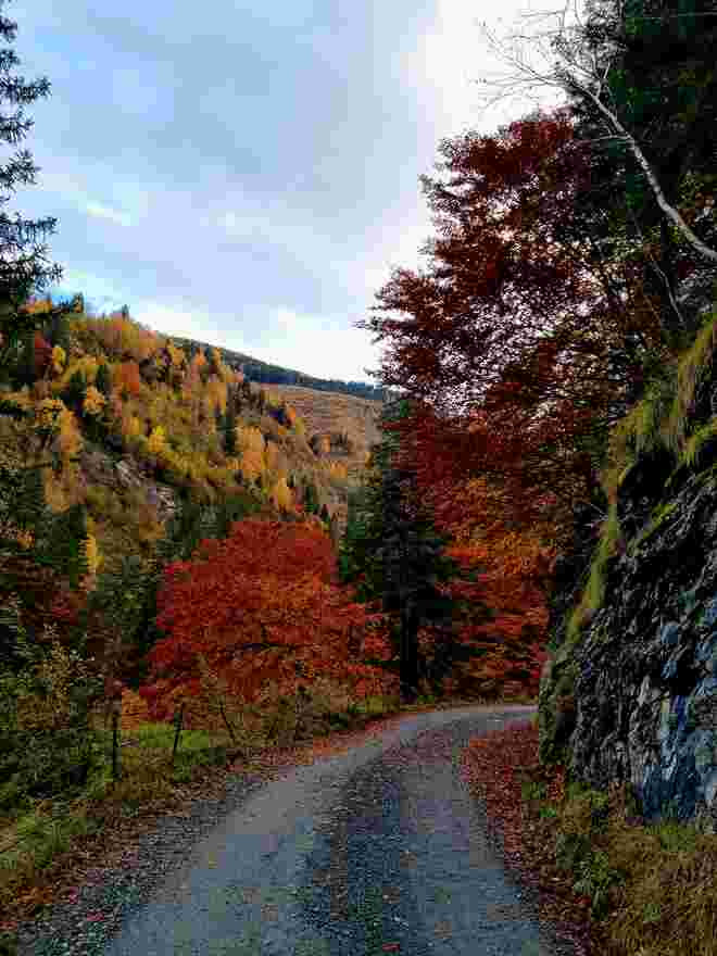 Sulzbachtal