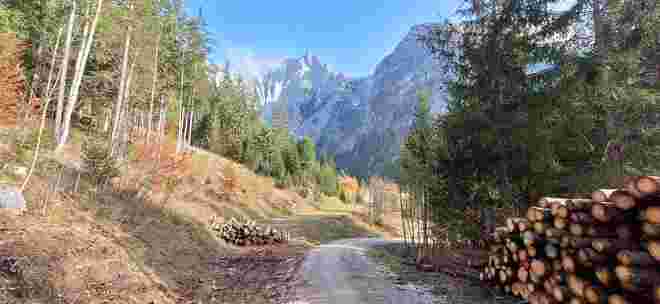 Kleine Wanderung nach Nebelauflösung