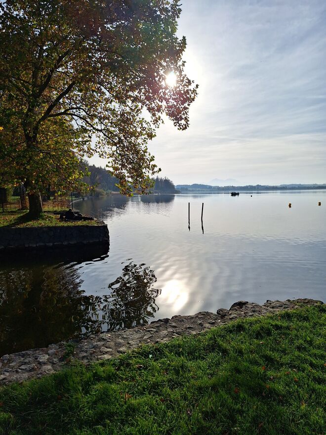 Nachmittags am Wallersee 