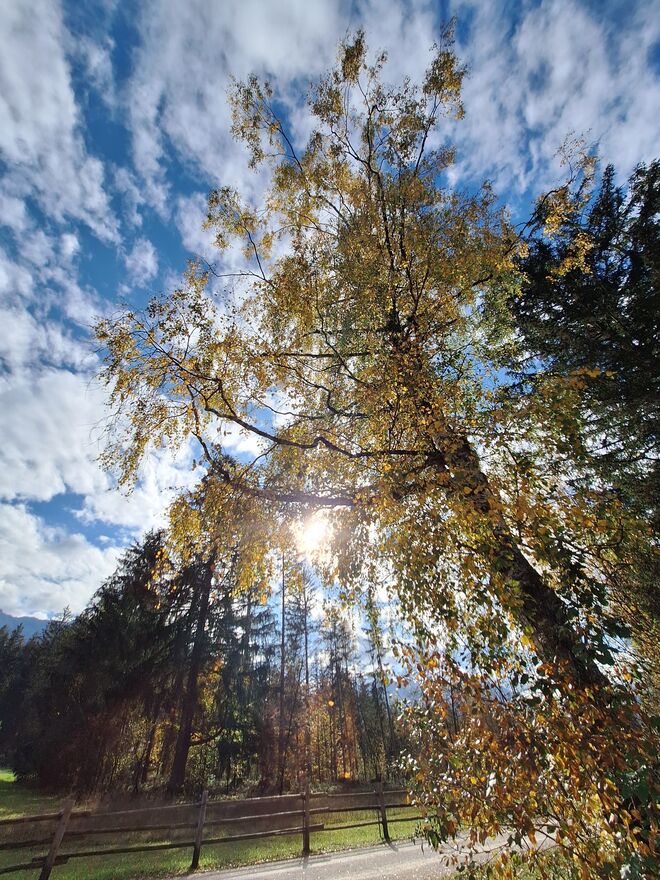 Freilichtmuseum Großgmain