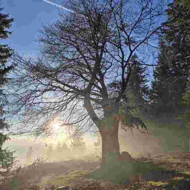 Nebel kommt  auf die Postalm