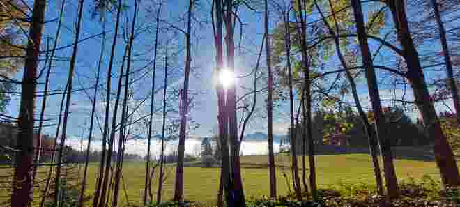 Herbstsonne