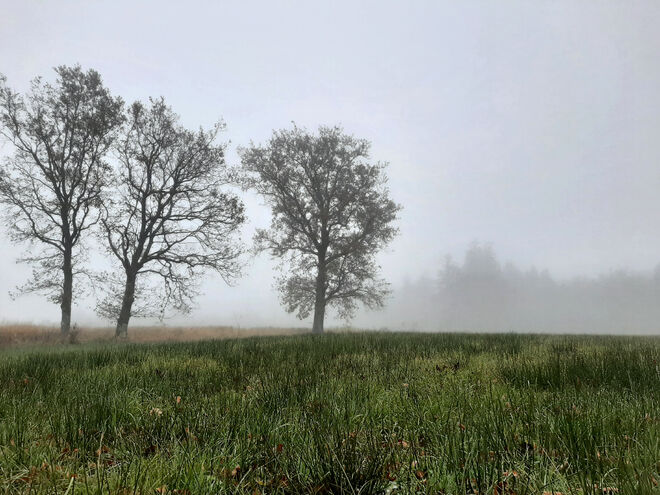 Die bunten Farben verschwinden...