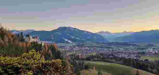 Palfenblick 