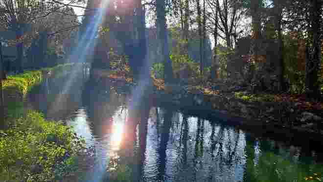 Am Almkanal
