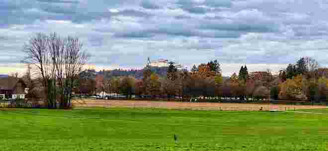 Die Ruhe vor dem Sturm....