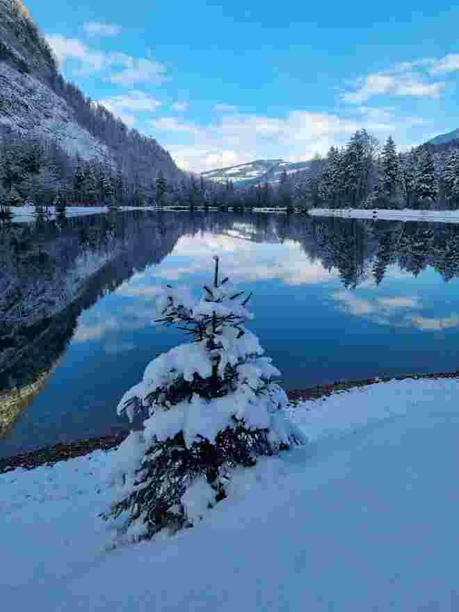 Winterwonderland