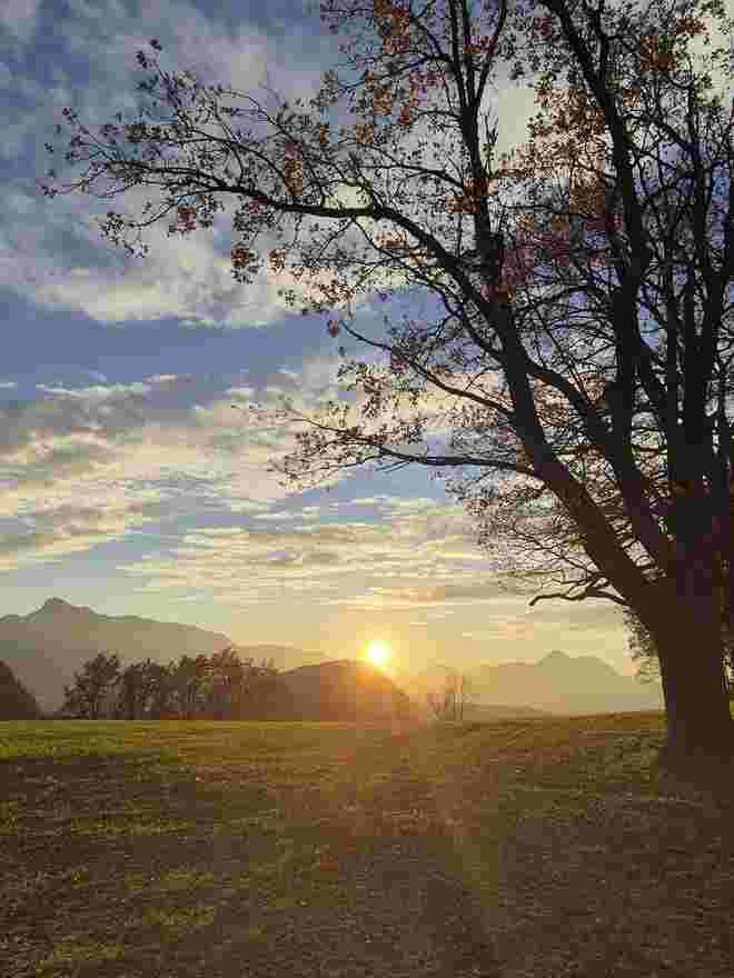 Novembersonne...
