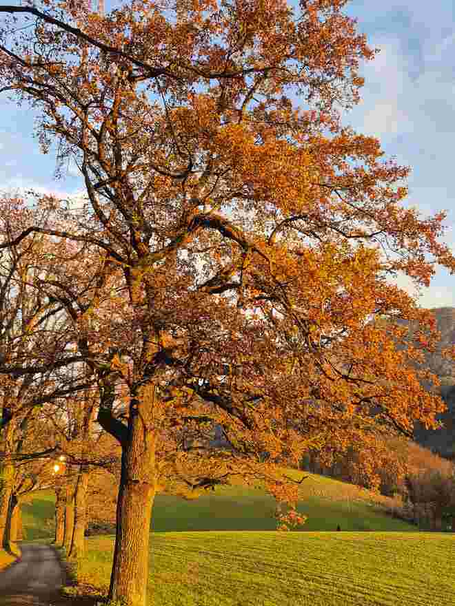 Noch Herbst...