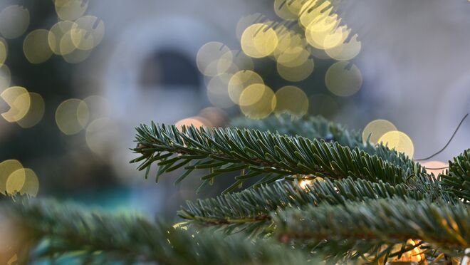 Ein bisschen Tannenduft für die Adventzeit
