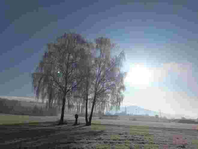 Ein Dezembermorgen!