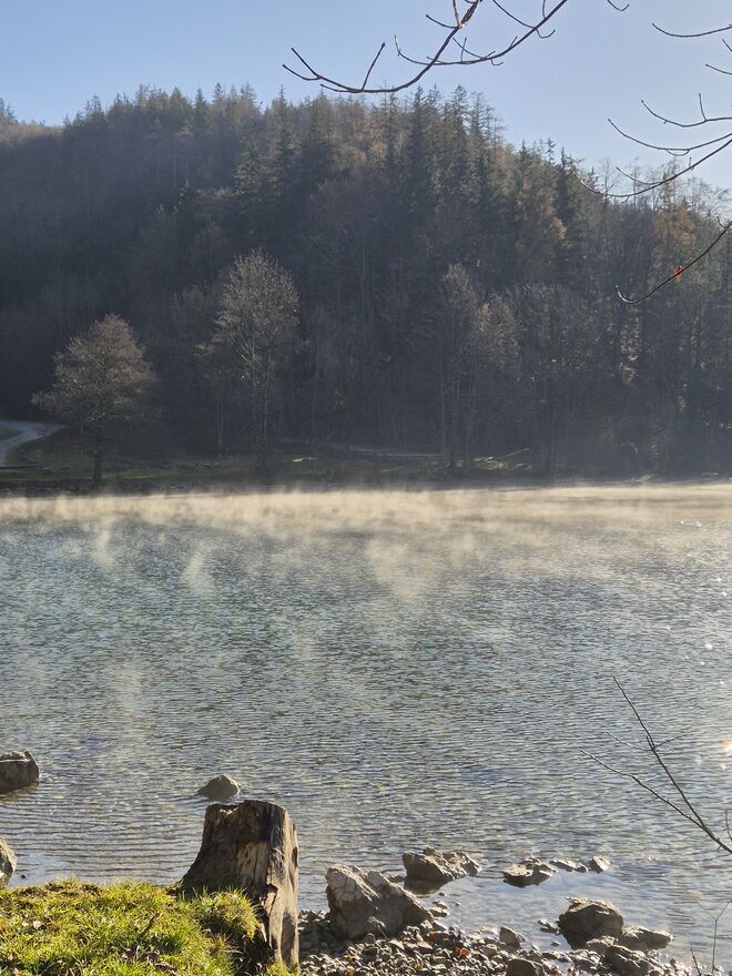 Die  Wassergeister des Wolfgangsees...