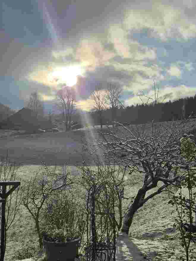 Wintermorgen...
