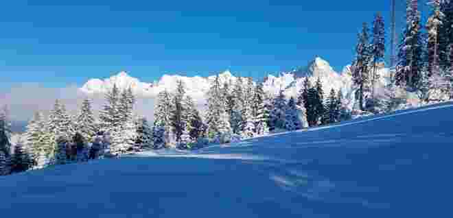 Winterwonderland 