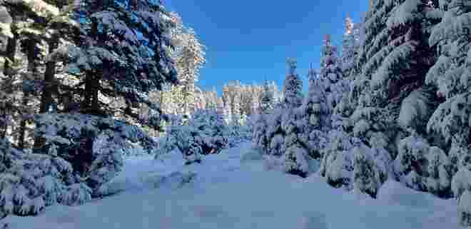Winterwunderland