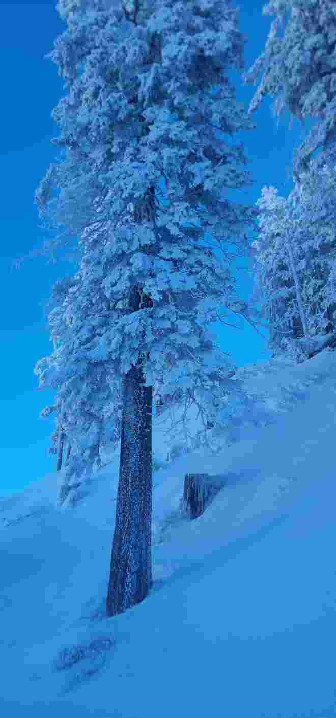 Winterzauber 