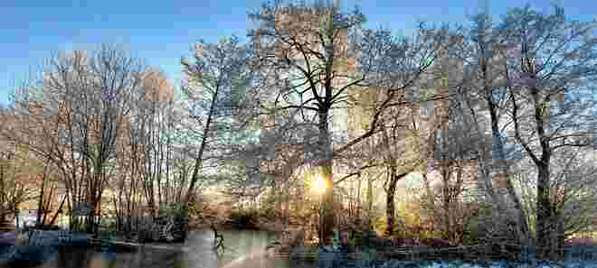 Wintermorgen