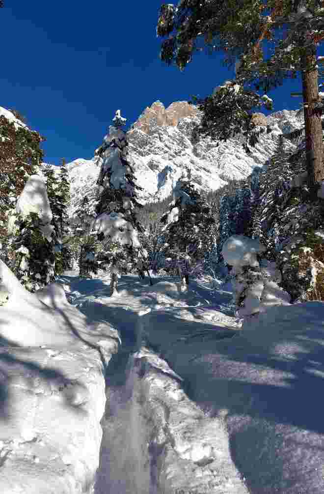 Stapfen durch den Pulverschnee