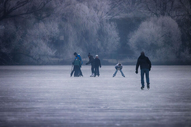 ... neulich wiederum am Lepi Weiher ...