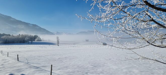 Mystischer Winterzauber
