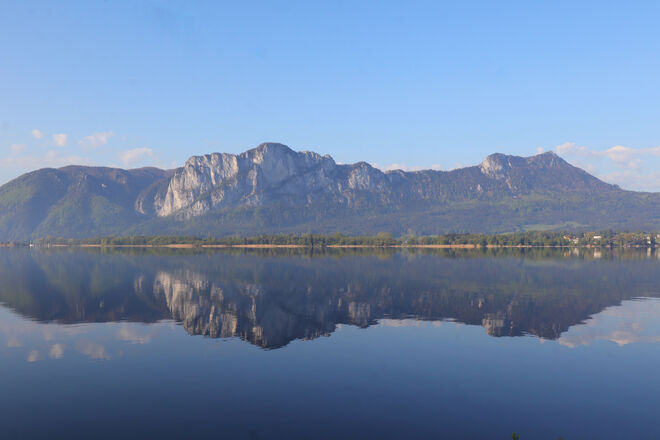 Morgendlicher Blick über den See