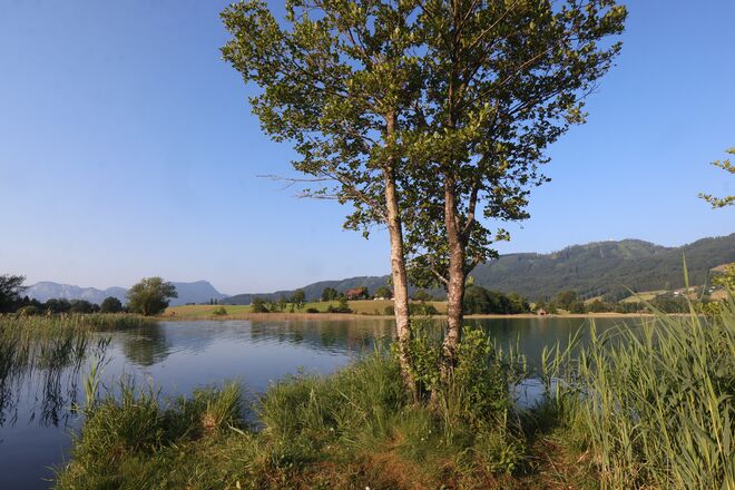 Frühsommer am Irrsee