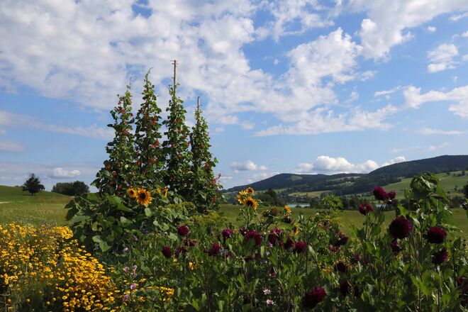 Ein schöner Bauerngarten