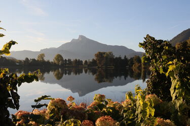 Baggersee mit Schafbergspiegelung 