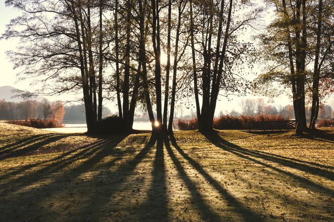 Spätherbstliches Streifenmuster