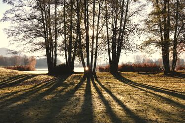 Spätherbstliches Streifenmuster