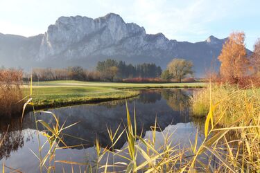 Frisches Grün Mitte November