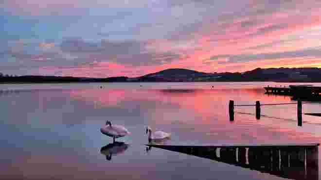 ...himmlisch am Wallersee 