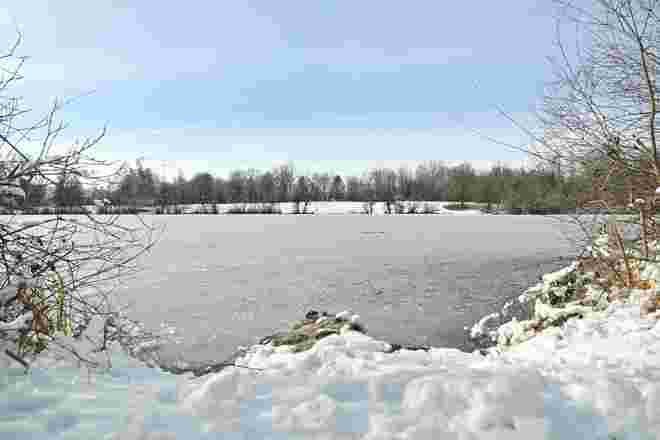 Winter am Salzachsee