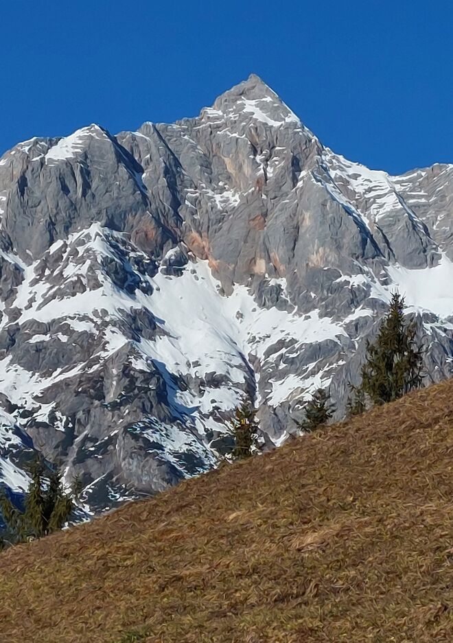 Ob jetzt schon der Frühling kommt?