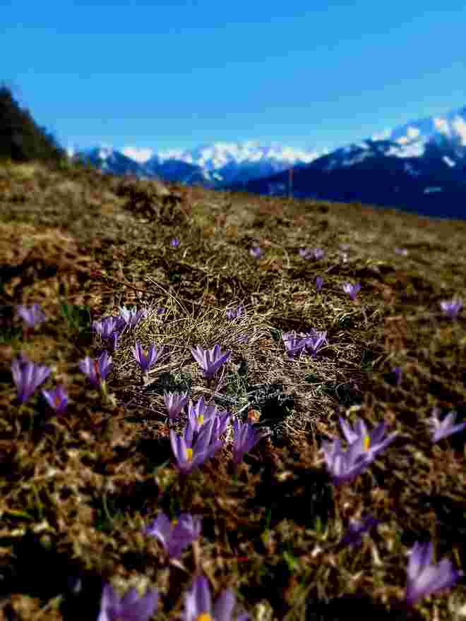 Frühling