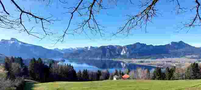 Mondseeblick