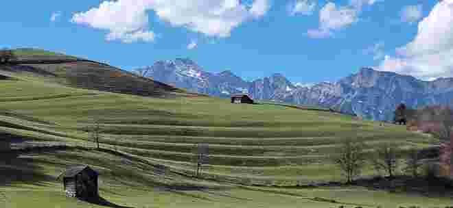 Birnhorn 