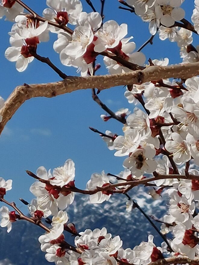 Die frostige Nacht hat ihnen gar nichts ausgemacht!!