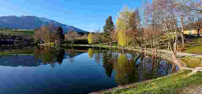 Morgenstille am See